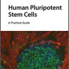Human Pluripotent Stem Cells: A Practical Guide