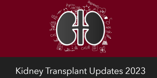 Kidney Transplant Updates 2023