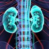 Mayo Clinic Nephrology and Transplantation for the Clinician 2022 (Videos+Assessment Quiz)