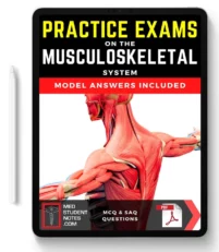 Medstudentnotes Practice Exams – Musculoskeletal
