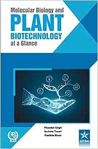 Molecular Biology and Plant Biotechnology at a Glance