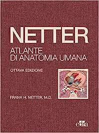 Netter. Atlante di anatomia umana, 8th Edition ()