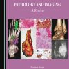Outlines of Orthopaedic Pathology and Imaging: A Review