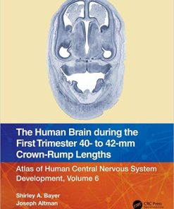 The Human Brain during the First Trimester 40- to 42-mm Crown-Rump Lengths: Atlas of Human Central Nervous System Development, Volume 6