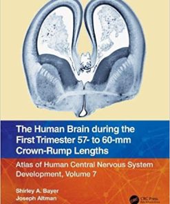 The Human Brain during the First Trimester 57- to 60-mm Crown-Rump Lengths: Atlas of Human Central Nervous System Development, Volume 7