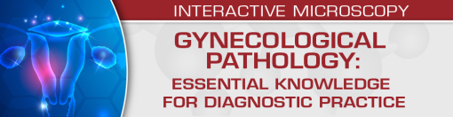 USCAP Gynecological Pathology 2022: Essential Knowledge for Diagnostic Practice