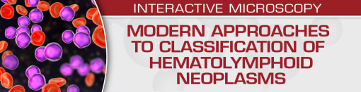 USCAP Modern Approaches to Classification of Hematolymphoid Neoplasms 2022
